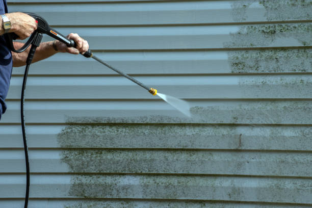 Best Local Pressure Washing Services  in Spring Park, MN