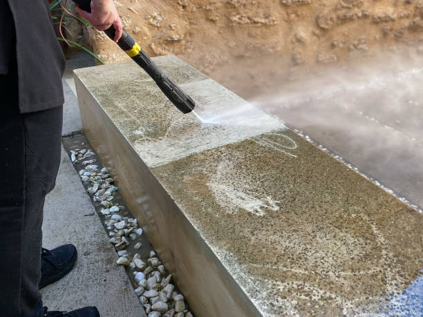 Best Fence Pressure Washing  in Spring Park, MN