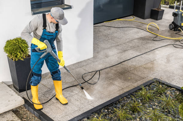 Best Pressure Washing Driveway  in Spring Park, MN