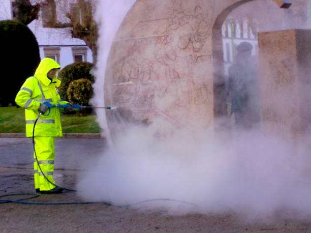 Best Residential Pressure Washing Services  in Spring Park, MN