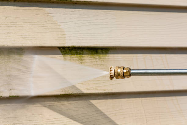 Best Fence Pressure Washing  in Spring Park, MN