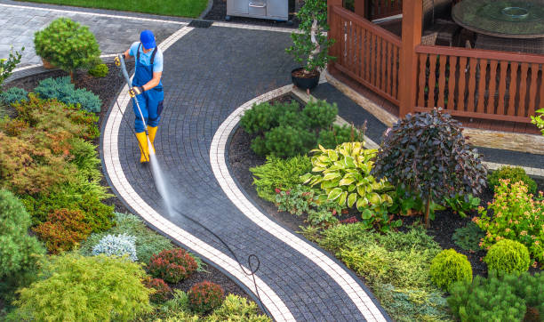 Best Affordable Pressure Washing  in Spring Park, MN